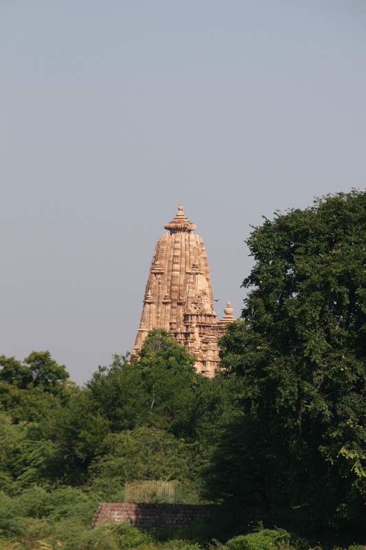 India & Nepal 2011 - 0869